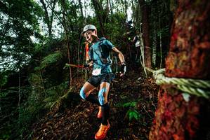 BIB: 
                            <button type="button" onclick="openModal(26198023)" class="btn btn-primary btn-sm float-right btn-popup" data-toggle="modal" data-target=".modal-high-quality">
                        <i class="fas fa-shopping-cart"></i> Add to Cart
                    </button>
                                            <button type="button" onclick="isThisMe(26198023, true)" class="btn btn-success btn-sm float-right btn-popup btn-isme hidden" data-toggle="tooltip" data-placement="bottom" title="นี่คือรูปของคุณใช่ไหม คลิกที่นี่เพื่อเอาเข้าอัลบั้ม">
                        <i class="fas fa-plus"></i> Add to album
                    </button>
                    <button type="button" onclick="isThisMe(26198023, false)" class="btn btn-warning btn-sm float-right btn-popup btn-isnotme hidden">
                        <i class="fas fa-ban"></i> Remove from album
                    </button>